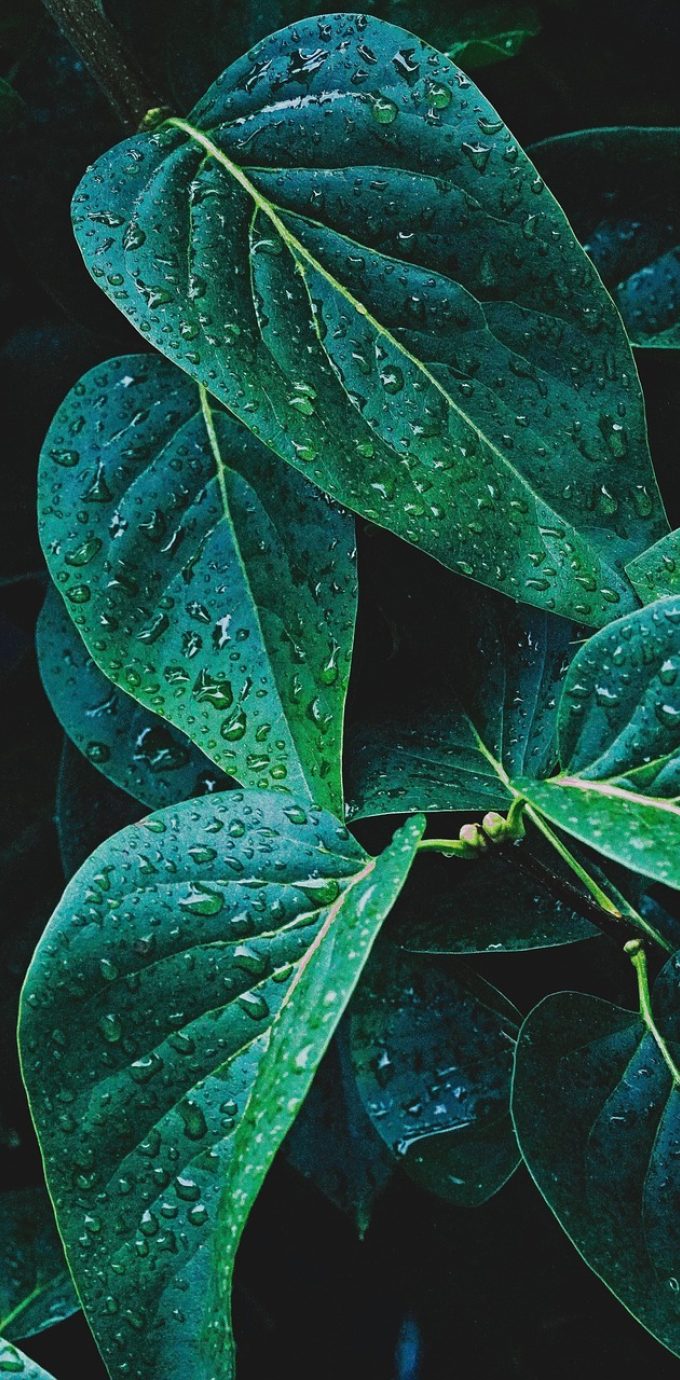 大乐透走势图新浪 App 首页界面预览，深色背景上排列着前区号码走势折线与后区号码分布格，顶部显示最新一期开奖日期与期号